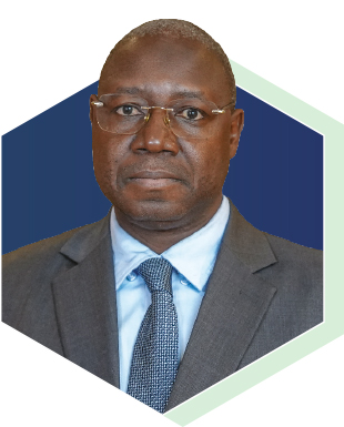 Hon. Diakaridia Dembele