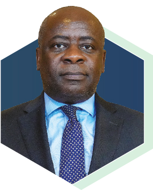 Hon. Linis Francis Lendjoungou