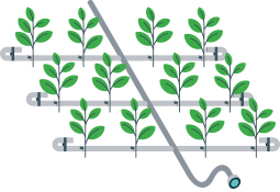 Water irrigation illustration